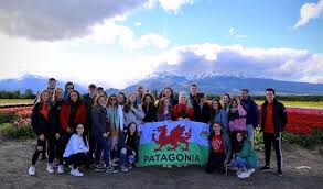 A puréed and simmering carrot soup in a pot with a spoon